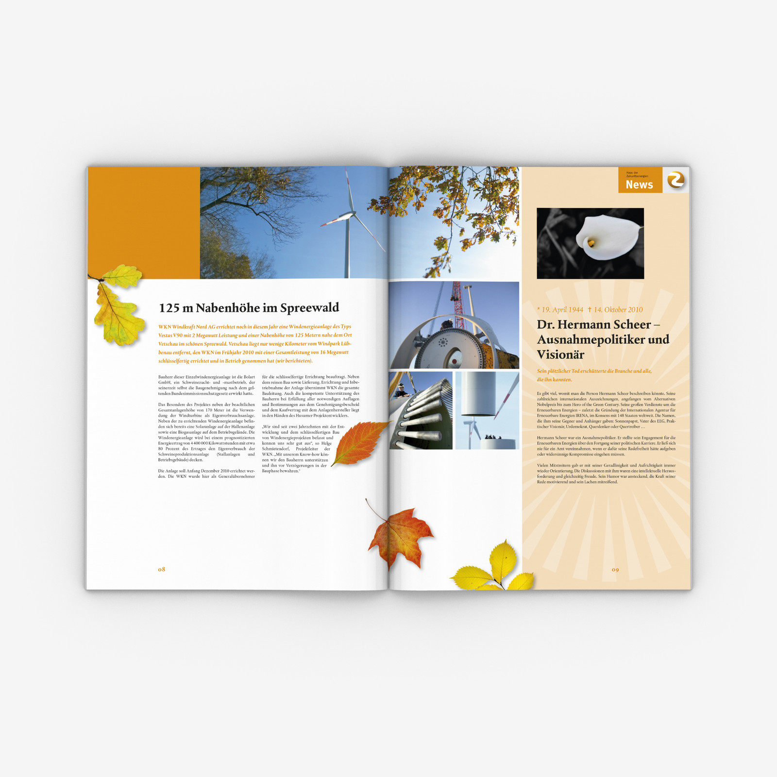 Doppelseite über eine Windenergieanlage im Spreewald