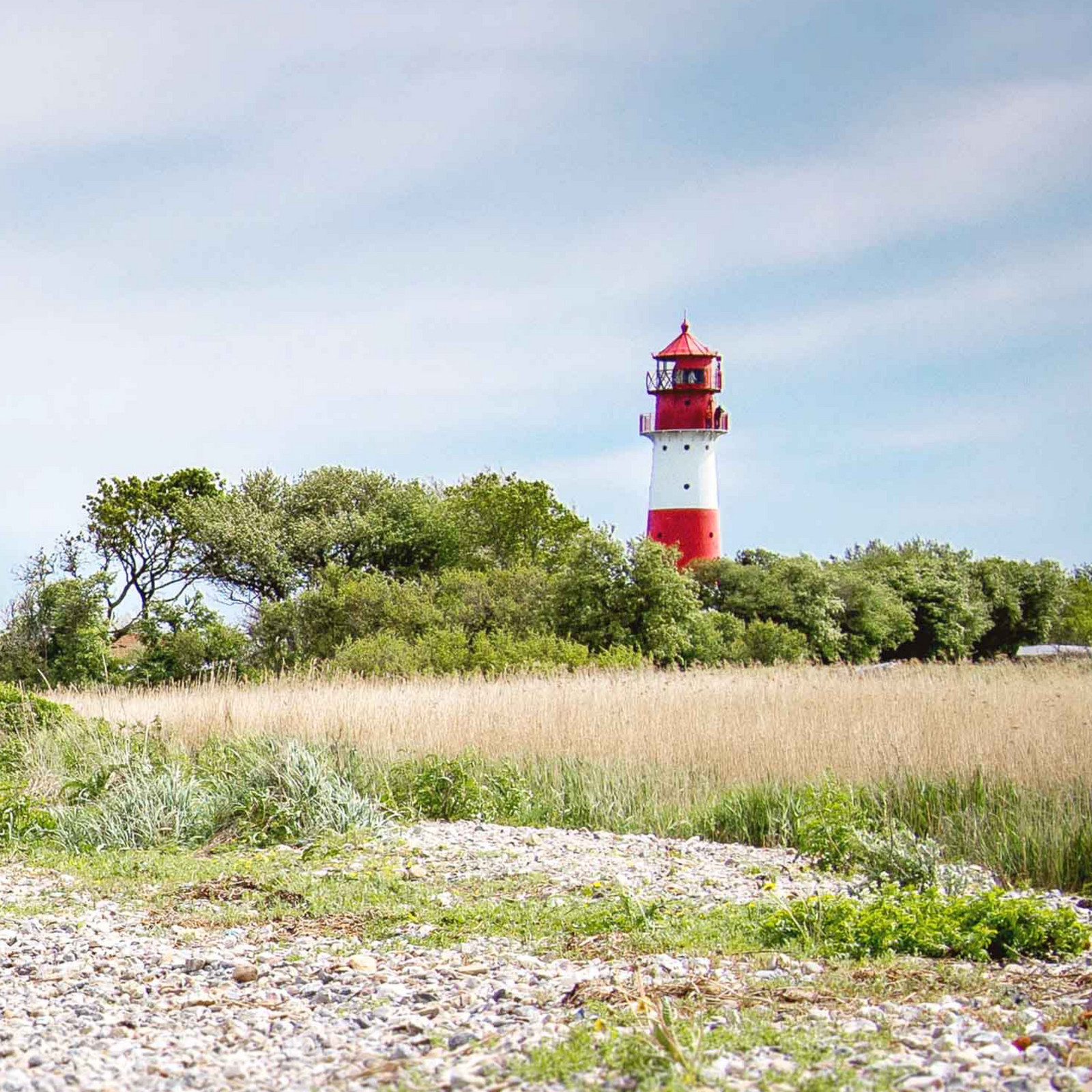 hochzwei_kiru_teaser_07.jpg Roter weißer Leuchtturm steht mitten im Grünem