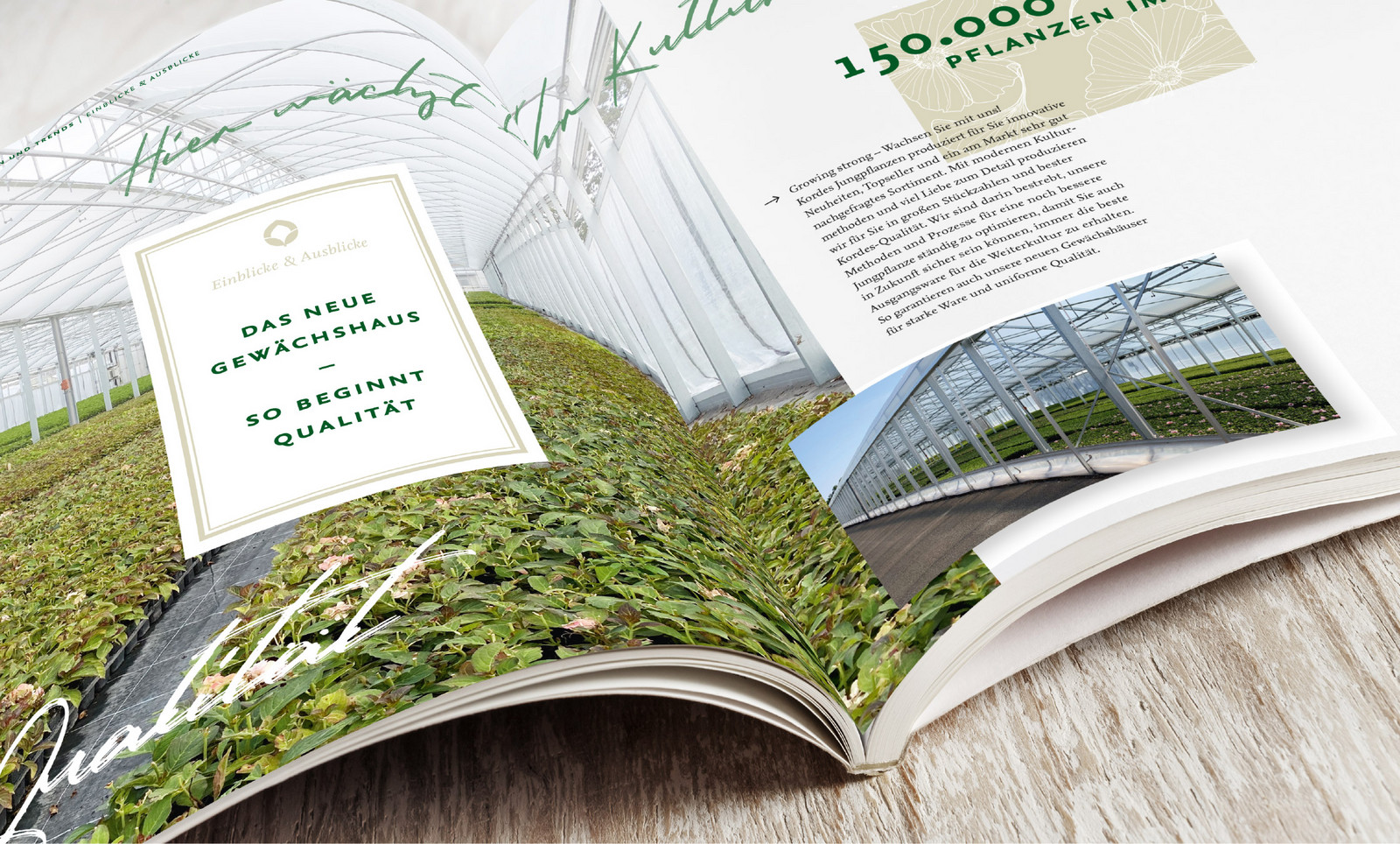 Blätterkatalog von Kordes