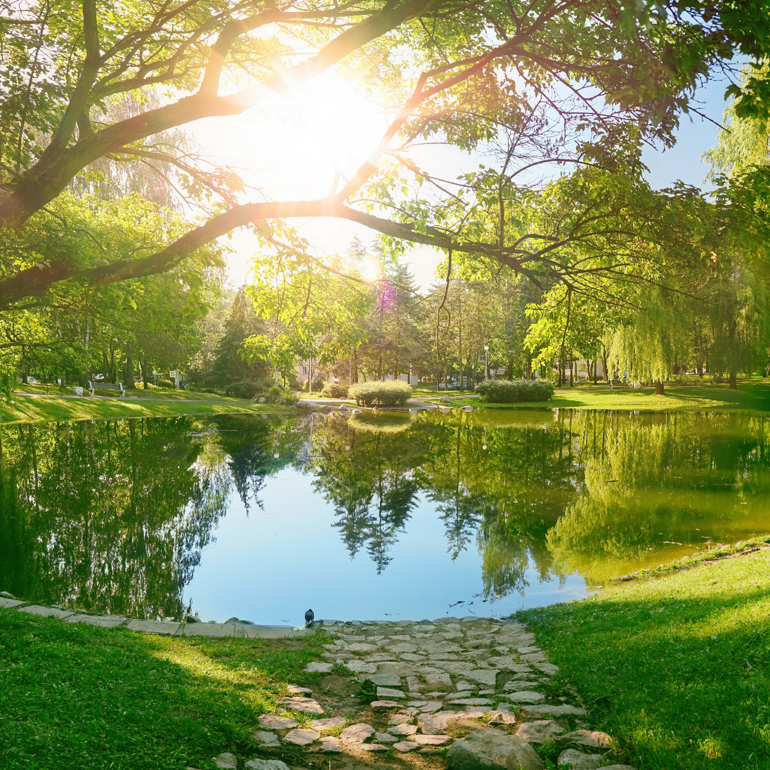 h2_wisi_teaser_02.jpg Eine Lichtung mit einem großen Teich