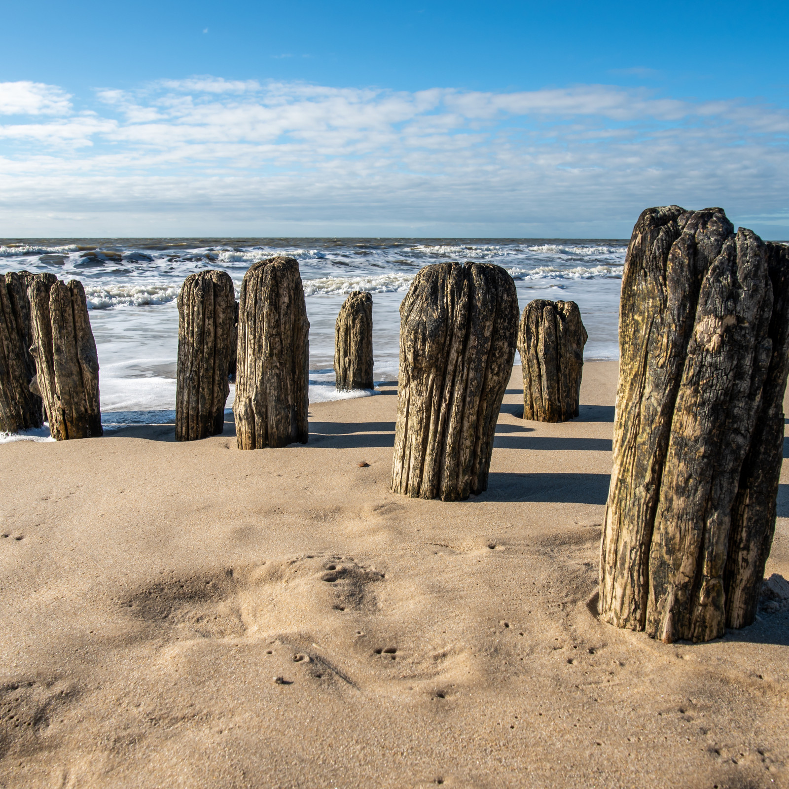 hochzwei_feano_teaser_06.jpg Alte Holzbohlen stecken im Strandsand