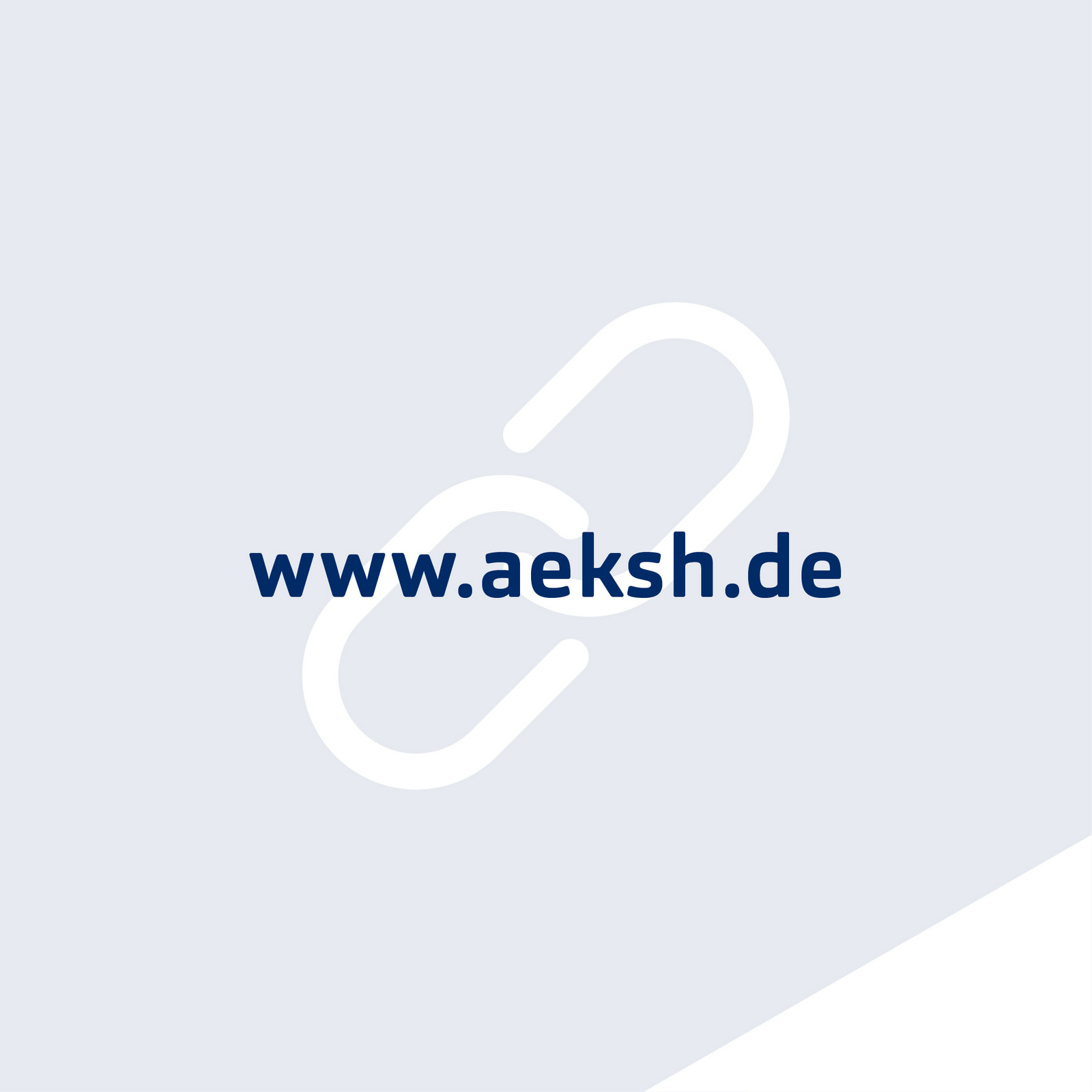 Linkgrafik www.aeksh.de