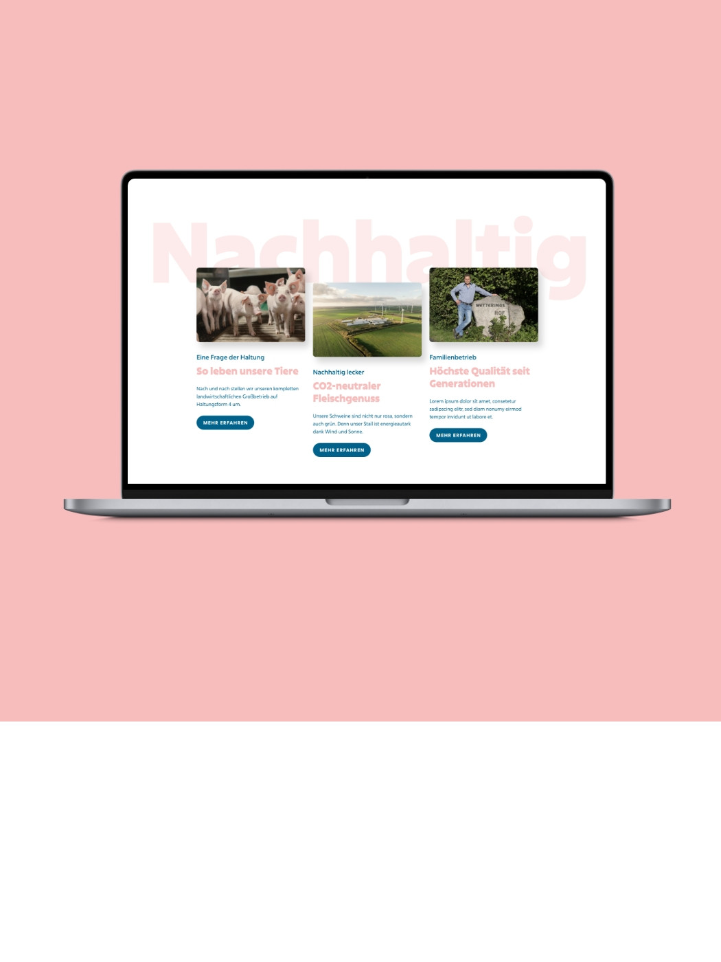 hochzwei_Brunk_teaser_11.jpg Ein Computer zeigt die Küstenswien Homepage an