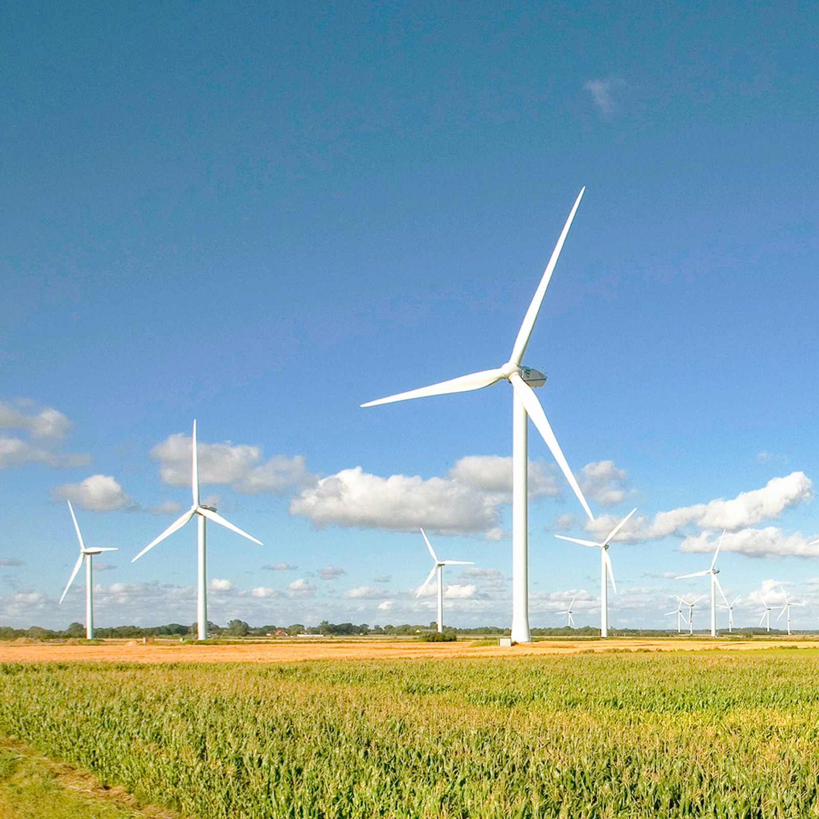 hochzwei_gp_teaser_02.jpg Weiße Windräder stehen in einem Feld
