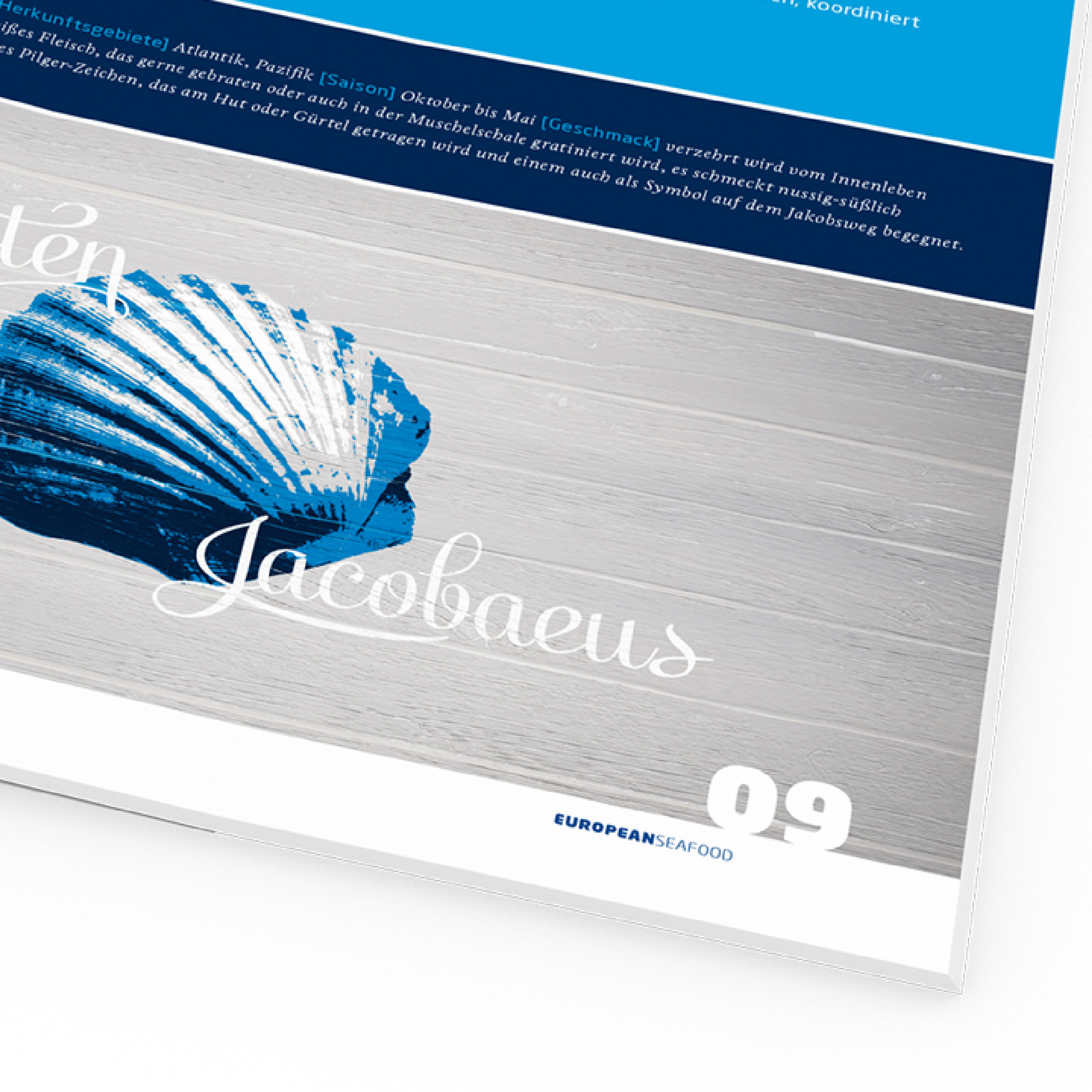 hochzwei_uhre_teaser_06.jpg Ausschnitt aus Katalog von Uhrenholt