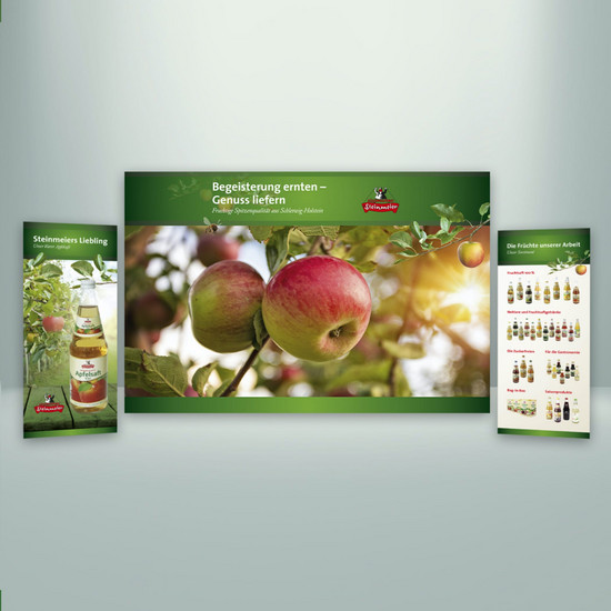 Steinmeier Homepage in drei digitalen Ansichten