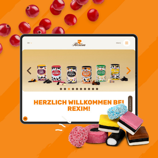 Die Vorderseite der Rexim Website