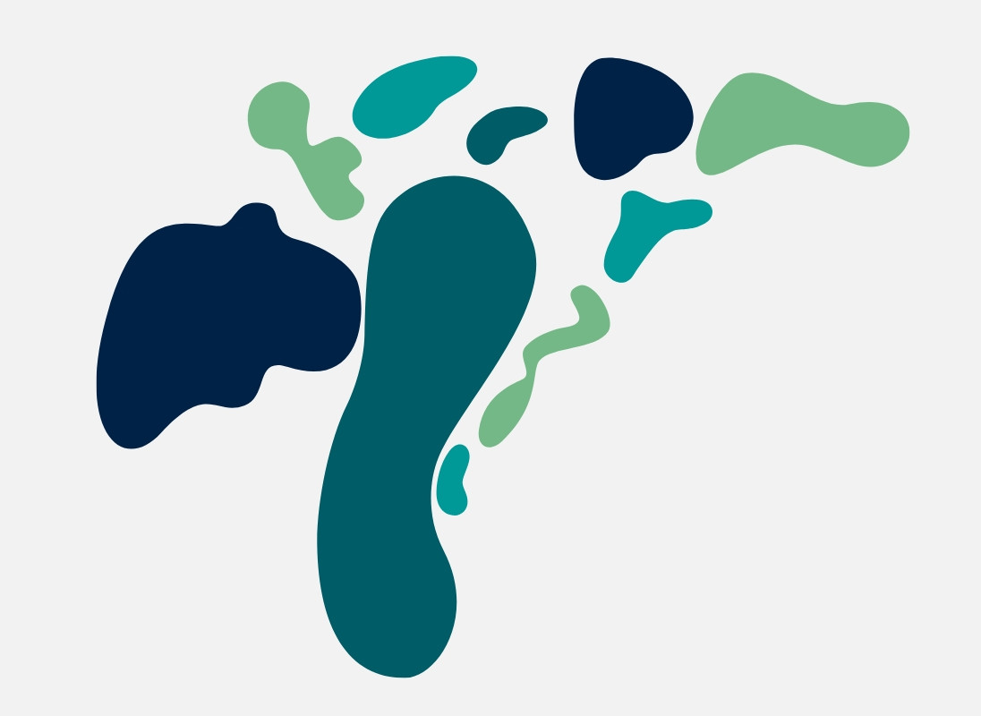 Visualisierung der Formen der Seen um die Stadt Plön. Sie sind in den neuen Designfarben eingefärbt, jeder See in einer anderen. In hellgrün, dunkelgrün, türkis und dunkelblau.