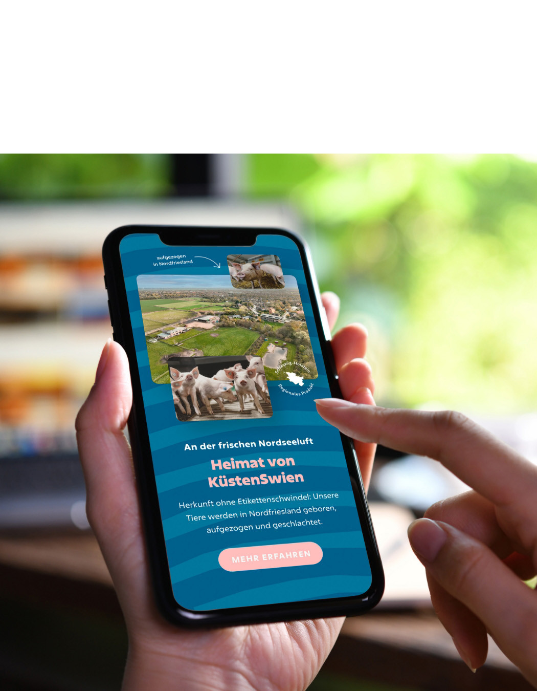 hochzwei_Brunk_teaser_03.jpg Eine Person surft auf der Homepage von Küstenswien