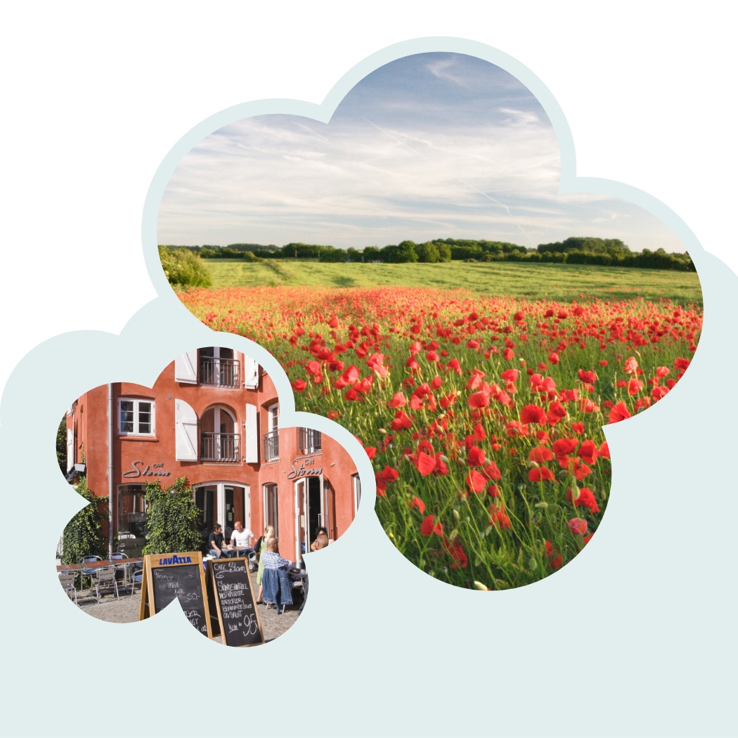 hochzwei_FLFJ_teaser_03.jpg Bildercollage einer Wiese mit Mohnblumen und einem Cafe