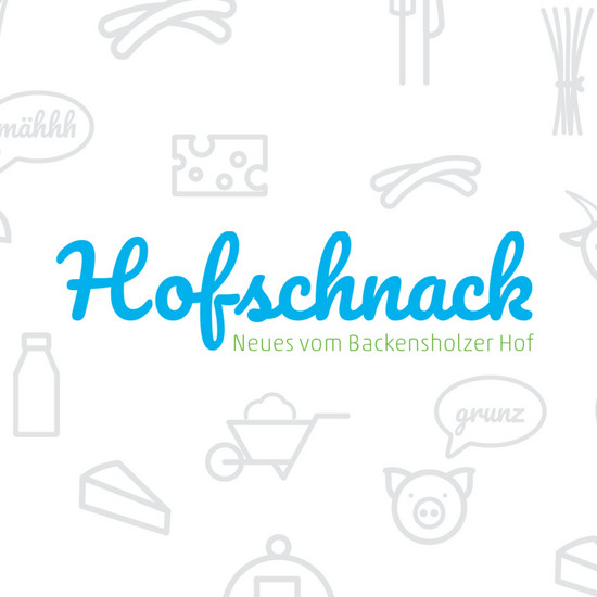 Blauer Schriftzug Hofschnack und graue Icons