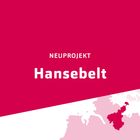 Freundschaft²: Hansebelt Pinke Kachel von Hansebelt