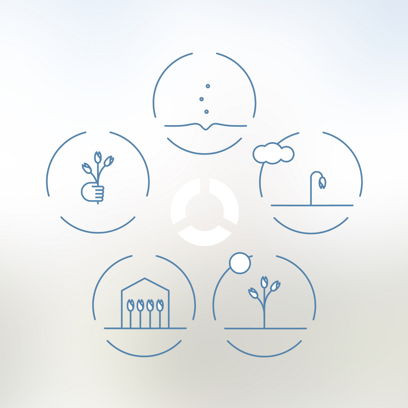 hochzwei_hwbu_teaser_01.jpg Fünf runde Kreise mit Blumen