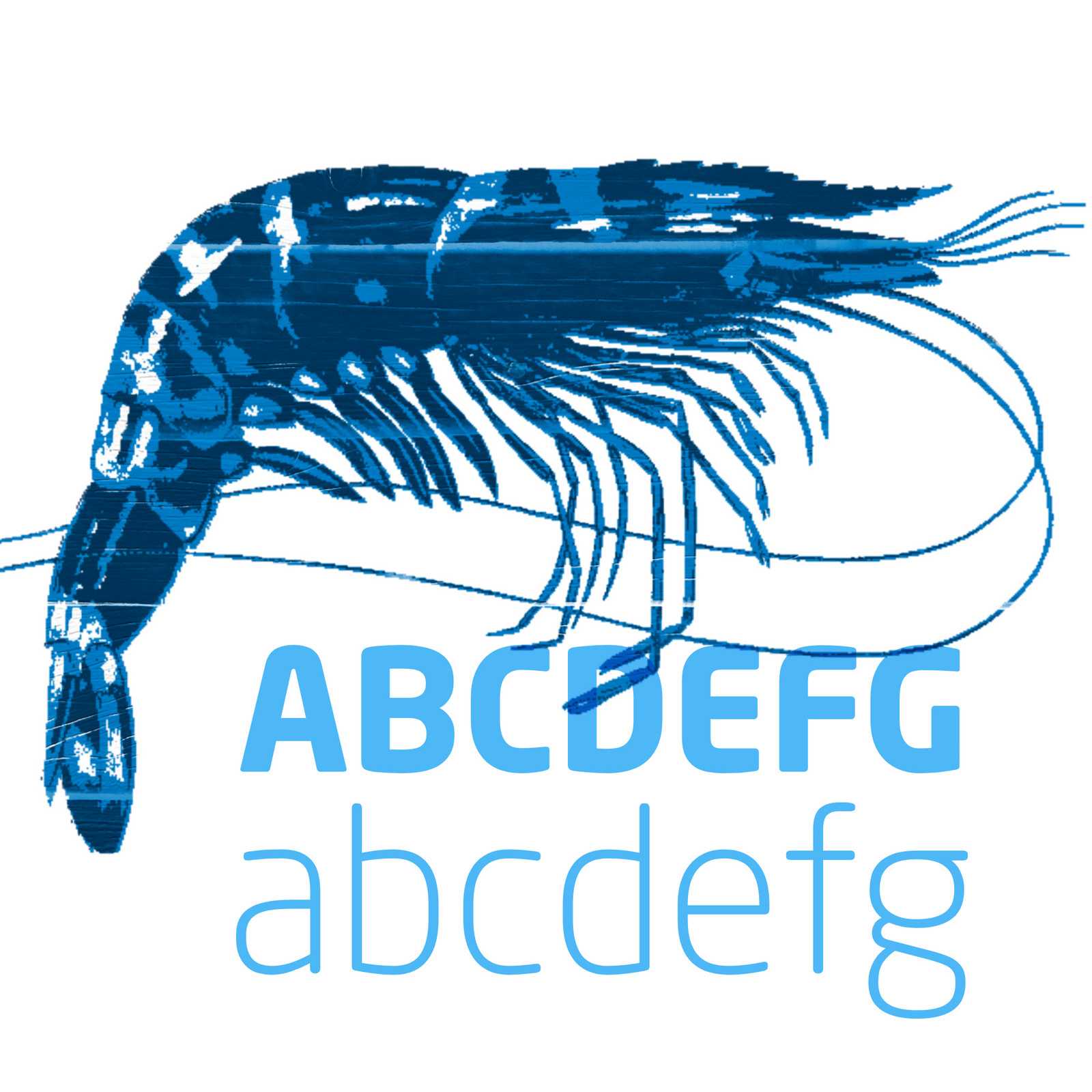 hochzwei_uhre_teaser_03.jpg Blauer Hummer liegt über Alphabet