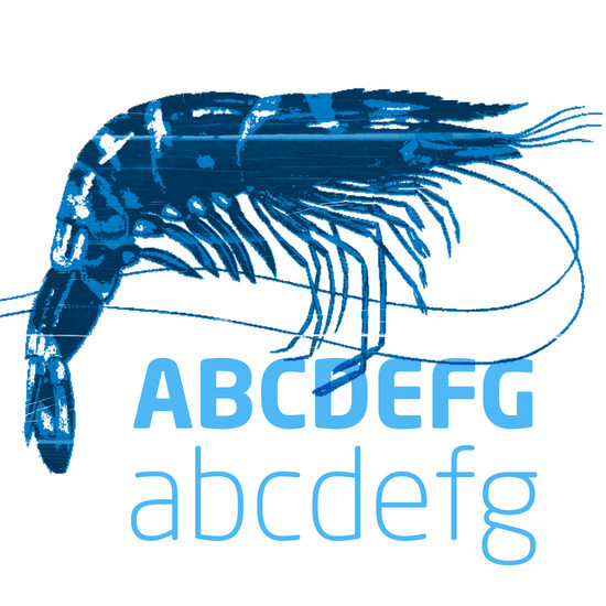 Blauer Hummer liegt über Alphabet