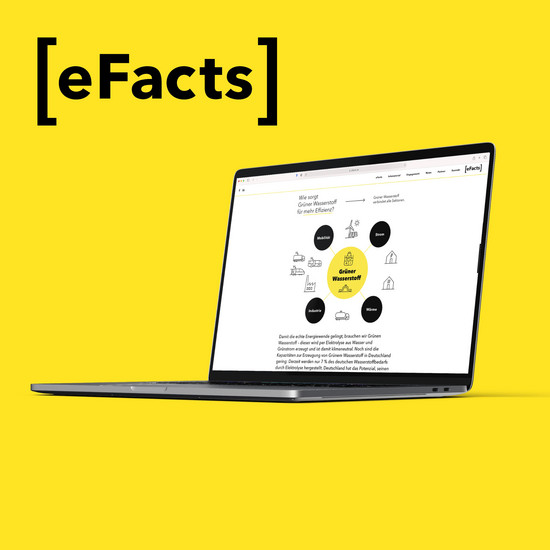 Fakten bitte! Eine Unterseite über grünen Wasserstoff von efacts
