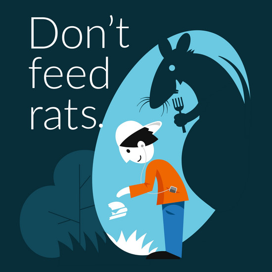 Erfolgreich umgesetzt – Starterpaket für Rattenkampagne h2_webTeaser_umbu_ratten