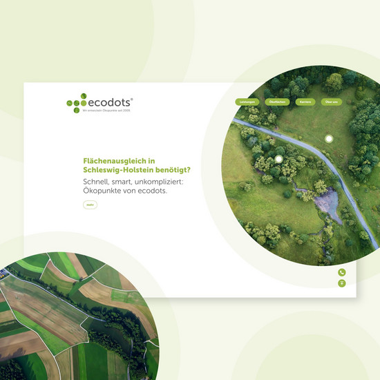 Das Runde passt ins Eckige Einblicke in die neue Internetseite