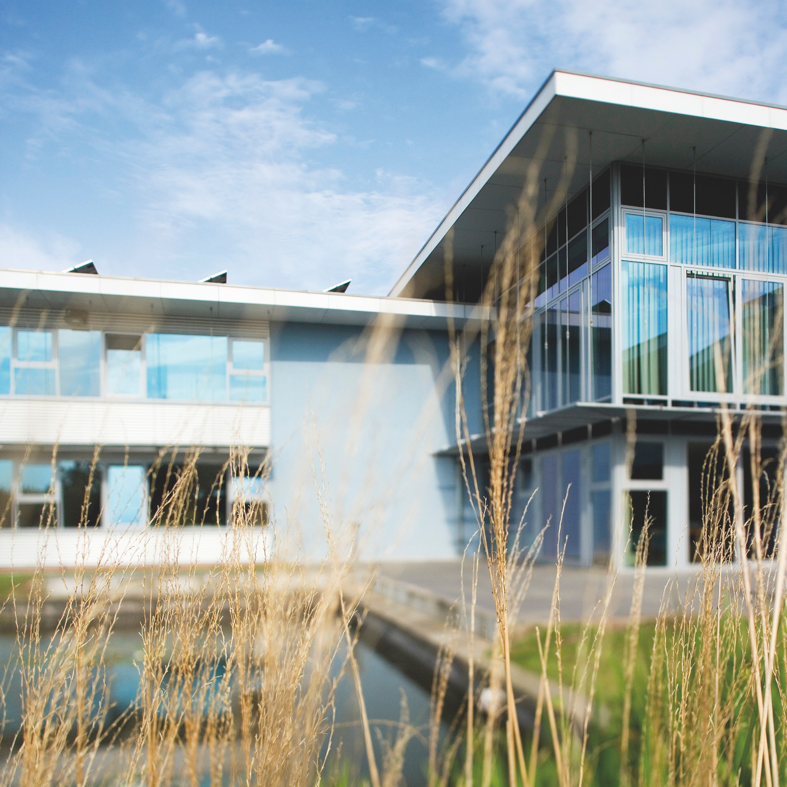 Blick durch Seegras auf ein Flachdachgebäude 