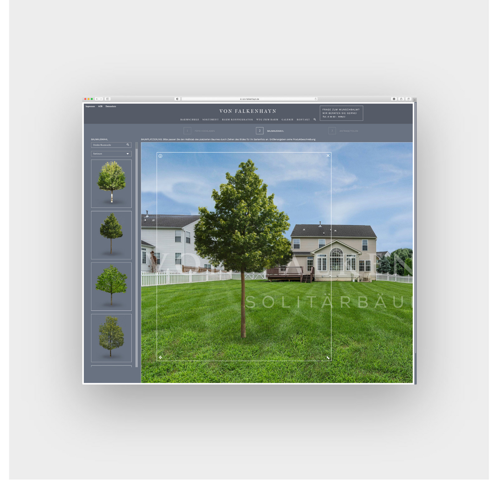 hochzwei_vfpf_teaser_06.jpg Baum im Garten