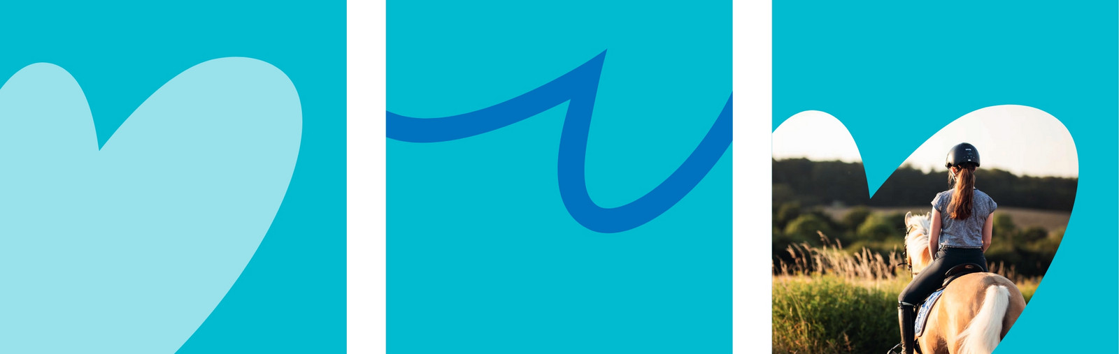Grafik mit drei hellblauen Qudraten in einer Reihe mit dem Malente Herz. In dem rechten Quadrat sieht man ein Foto einer Reiterin auf einem hellbraunen Pferd