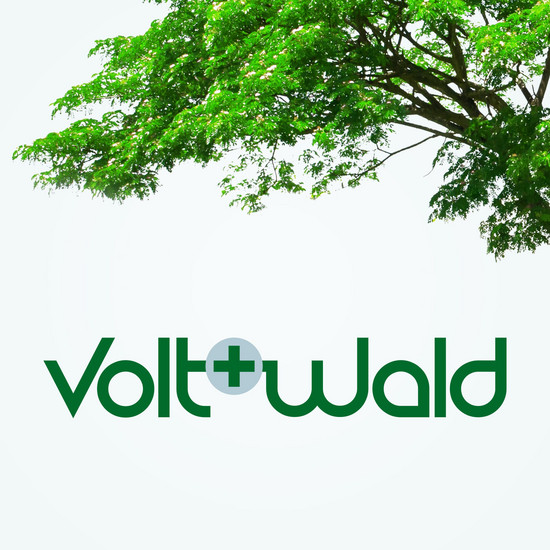 Neue Website für Ökostrom-Anbieter Logo von vold+wald mit einem grünem Ast