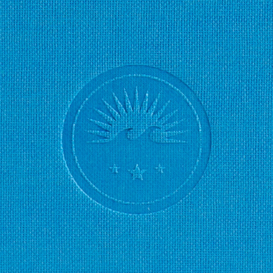 Blaues eingestampftes Hochzwei Logo