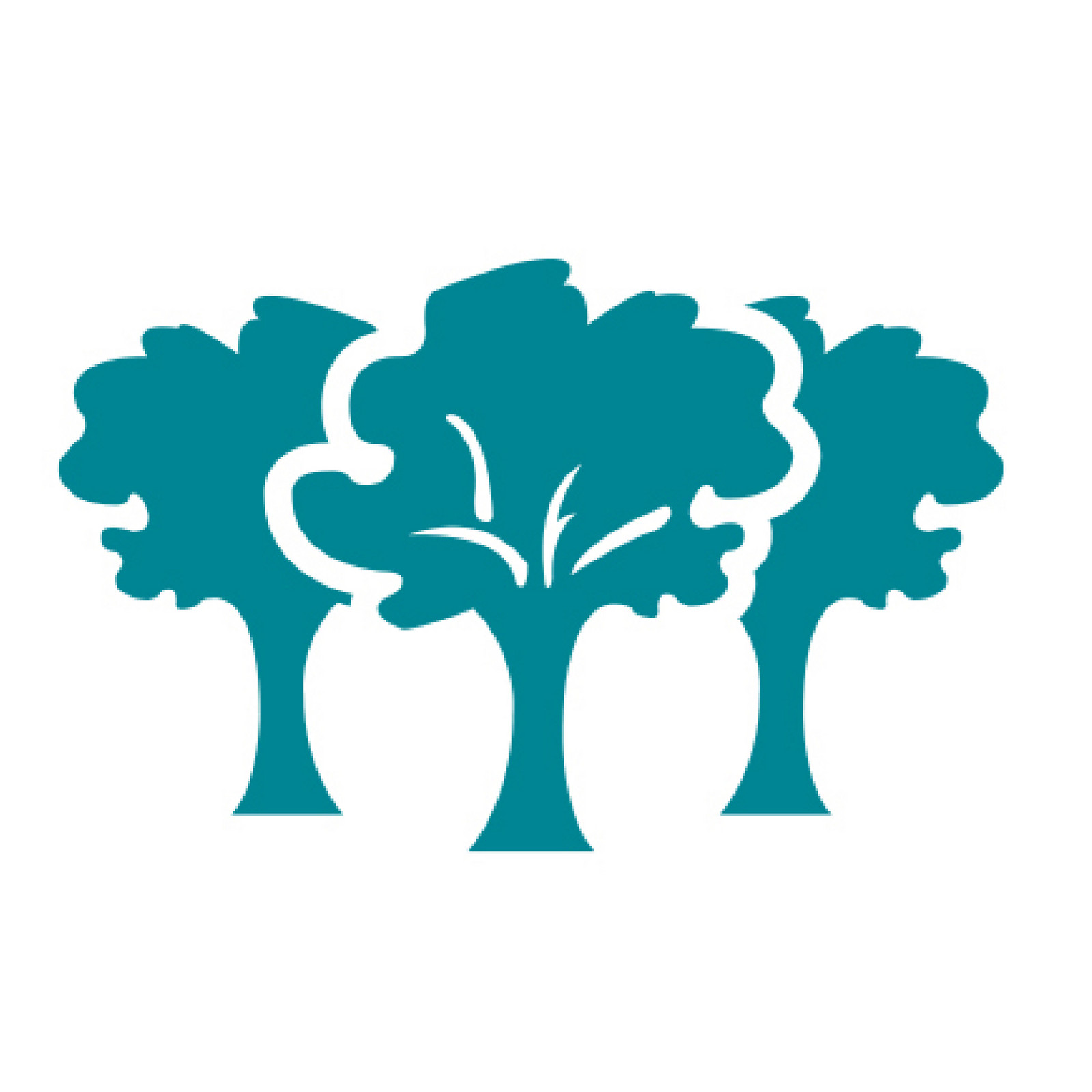 hochzwei_wald_teaser_02.jpg Drei Grüne Bäume mit weißem Hintergrund