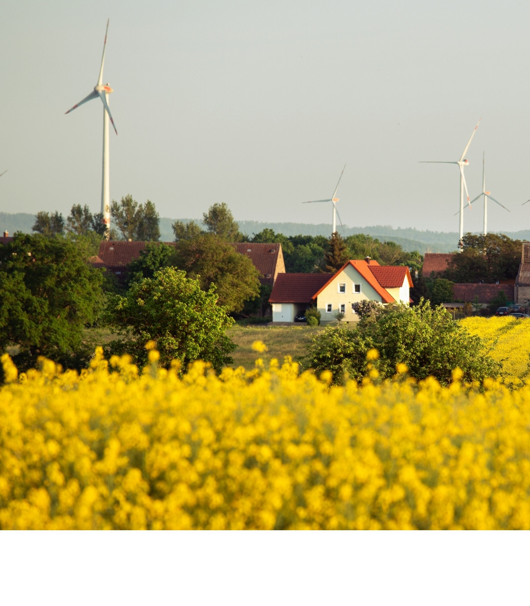 h2_bwkm_teaser_10.jpg Blick auf ein Haus umgeben von Rapsfeldern