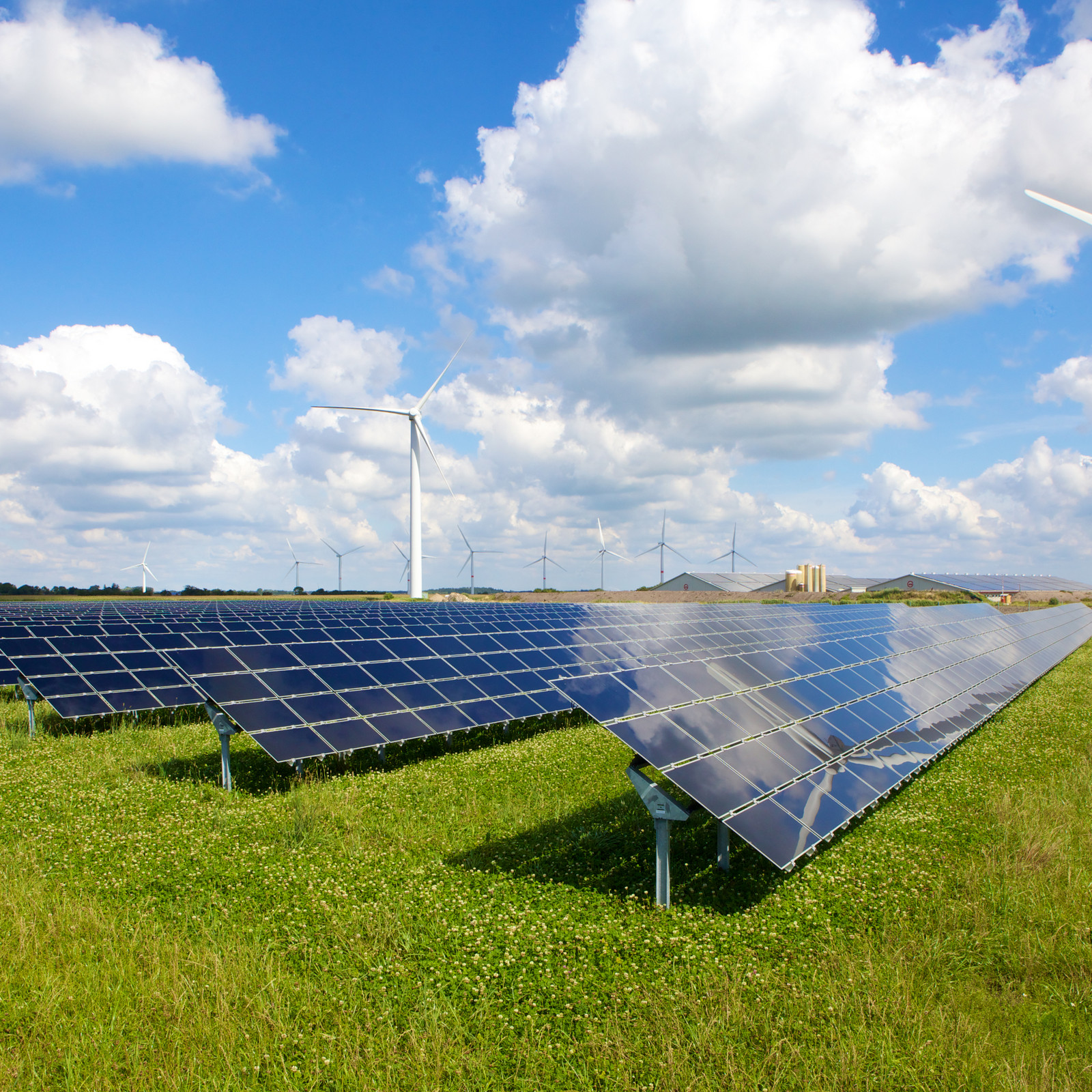 hochzwei_gpjoule_teaser_02.jpg Solarplatten stehen auf einer grünen Wiese