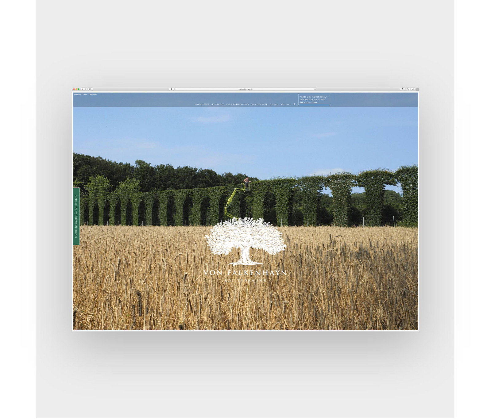 hochzwei_vfpf_teaser_01.jpg Kornfeld angrenzend an einer Alé