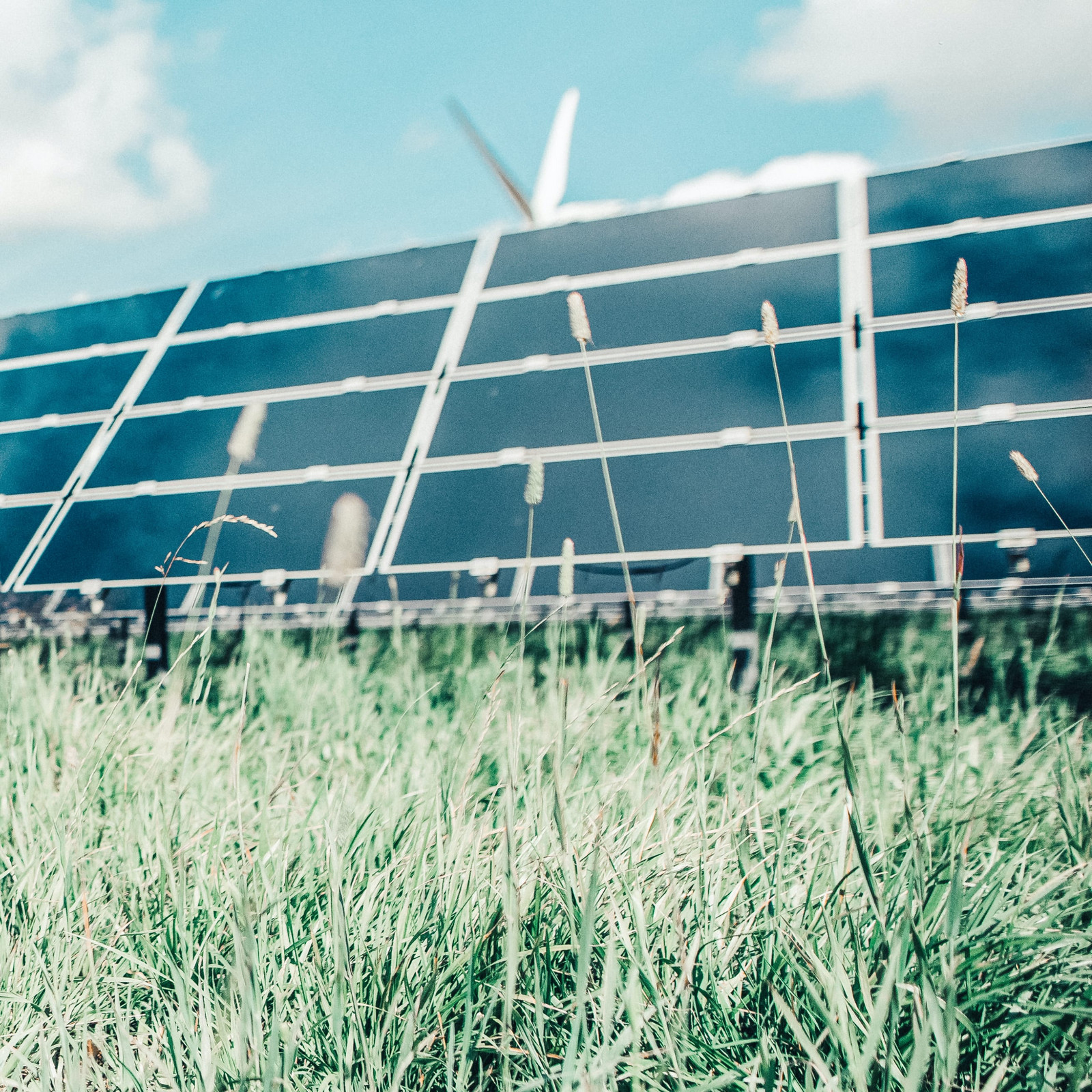 hochzwei_gp_teaser_02.jpg Solarplattens stehen in der Sonne auf einer Wiese