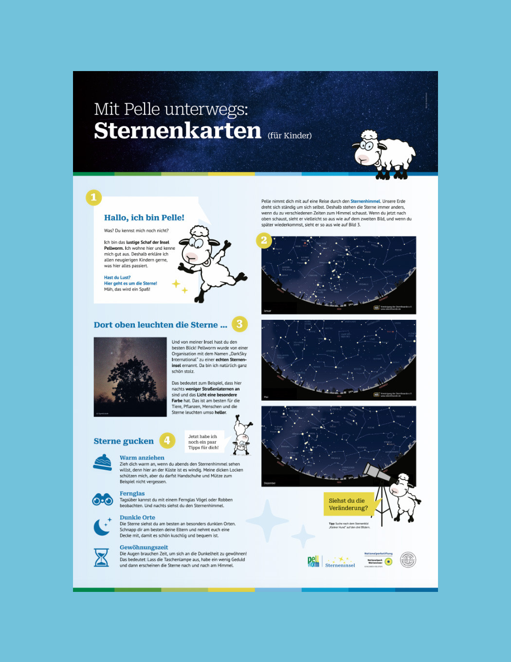 Infoflyer mit Schaf Pelle