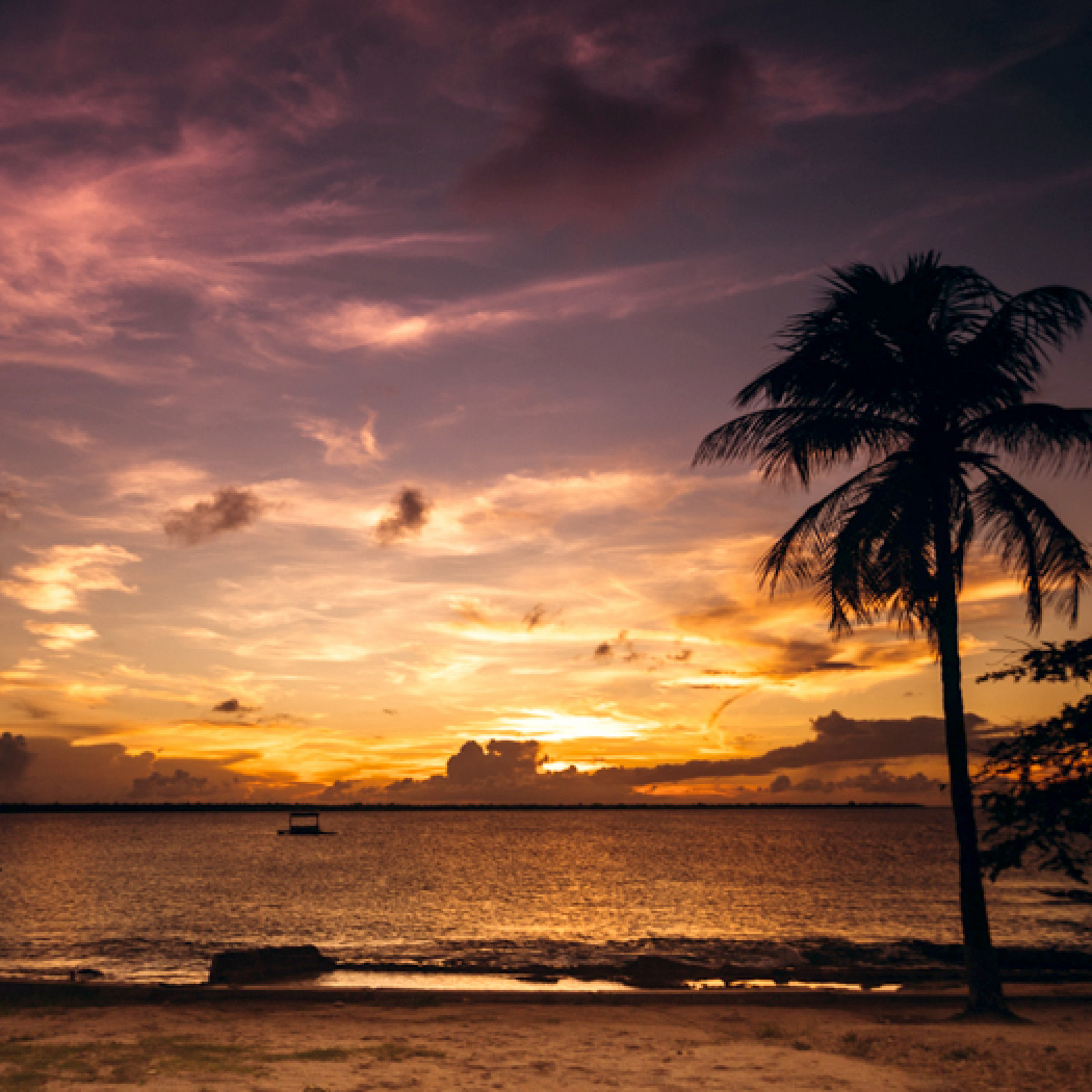 hochzwei_scan_teaser_08.jpg Strand mit Palmen