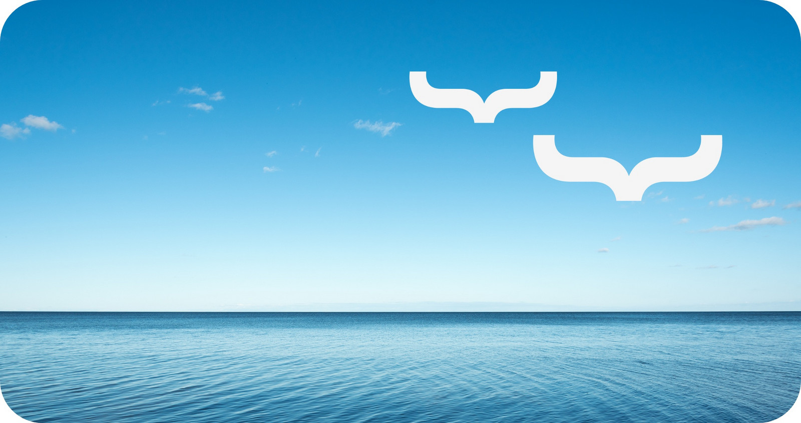 hochzwei_BT-Nord_teaser_04.jpg Wasser mit blauem Himmel, darauf weiße stilisierte Möwen.