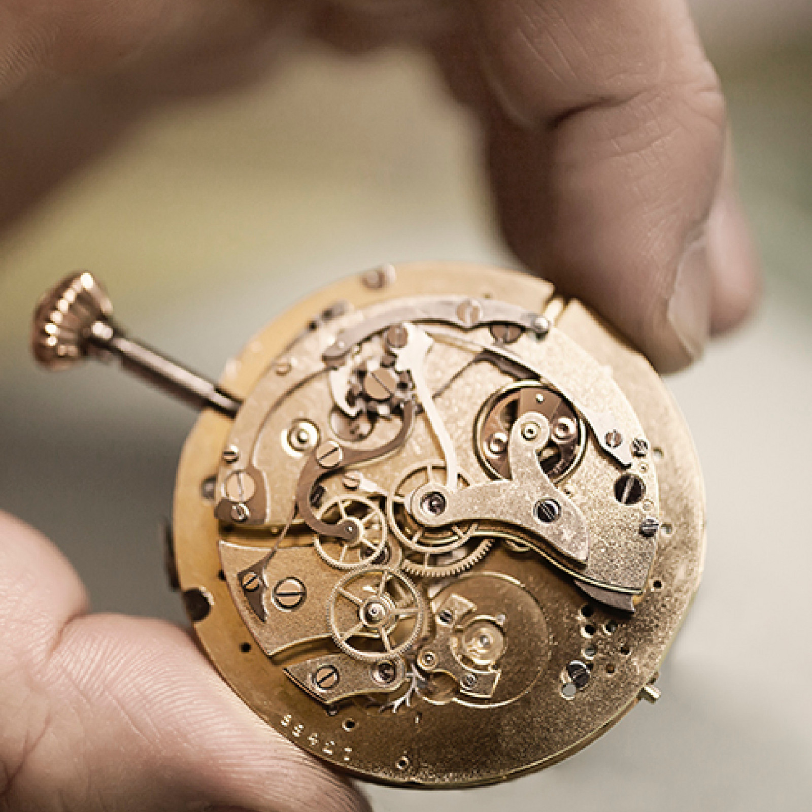 hochzwei_peju_teaser_05.jpg Rückseite eines Uhrenwerkes
