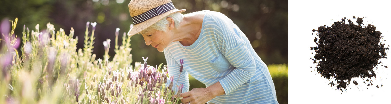Frau riecht an lilanen Blumen
