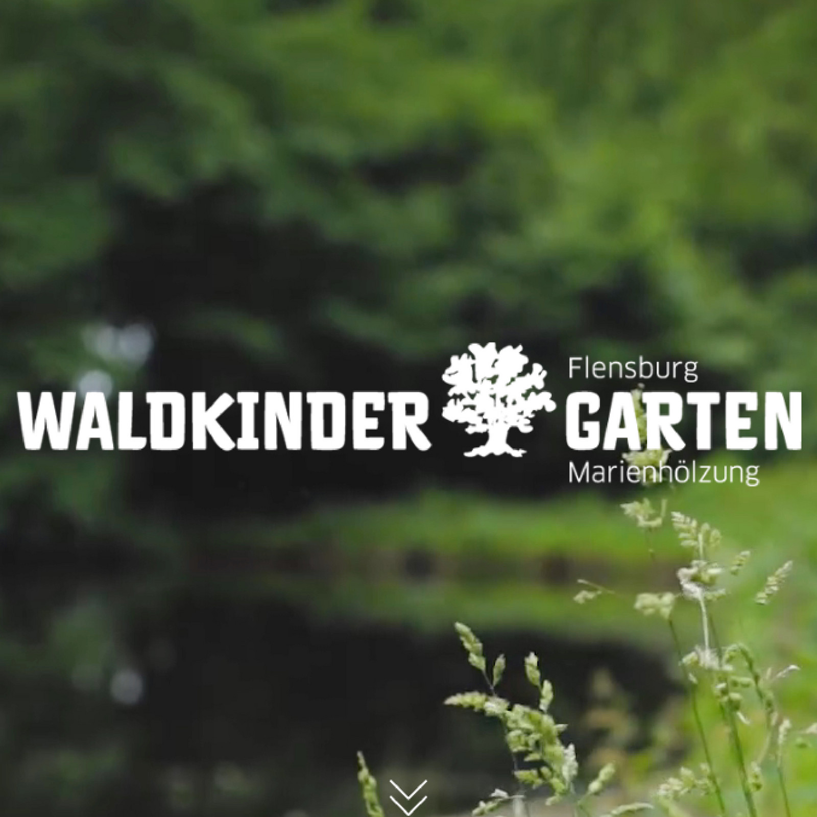 hochzwei_walki_teaser_01.jpg Waldkindergarten mit Underlay von einem Wald