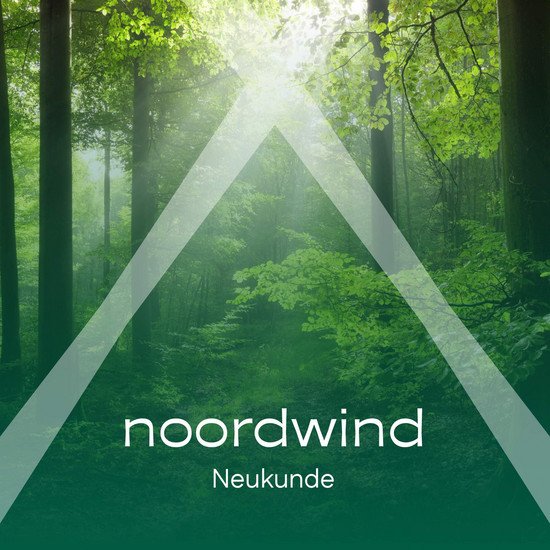 Ein Bild eines lichtdurchfluteten Waldes mit dem Schriftzug noordwind Neukunde