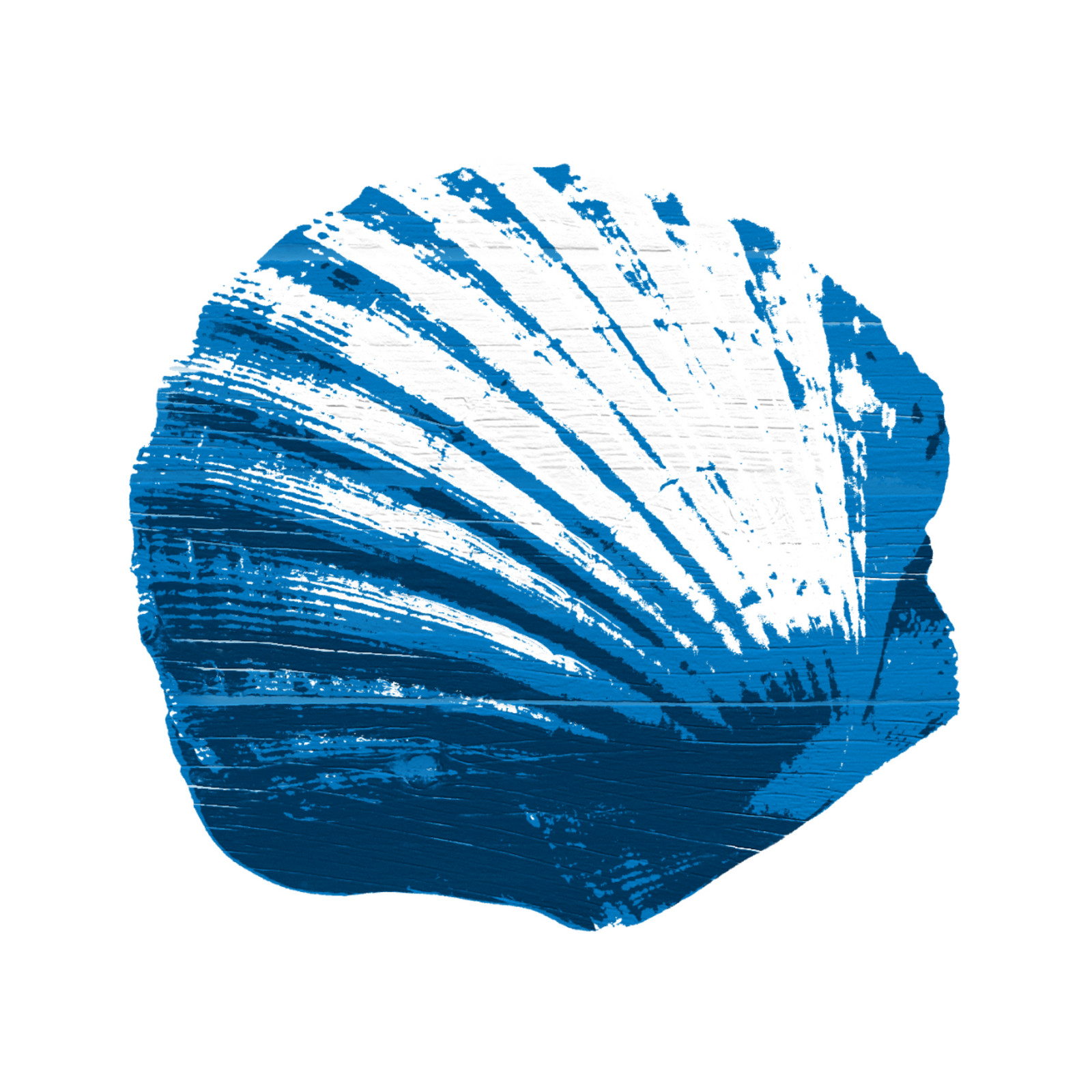 hochzwei_uhre_teaser_02.jpg Blaue illustrierte Muschel