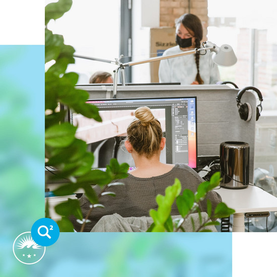 Altersdurchschnitt Grüne Pflanze im Büro