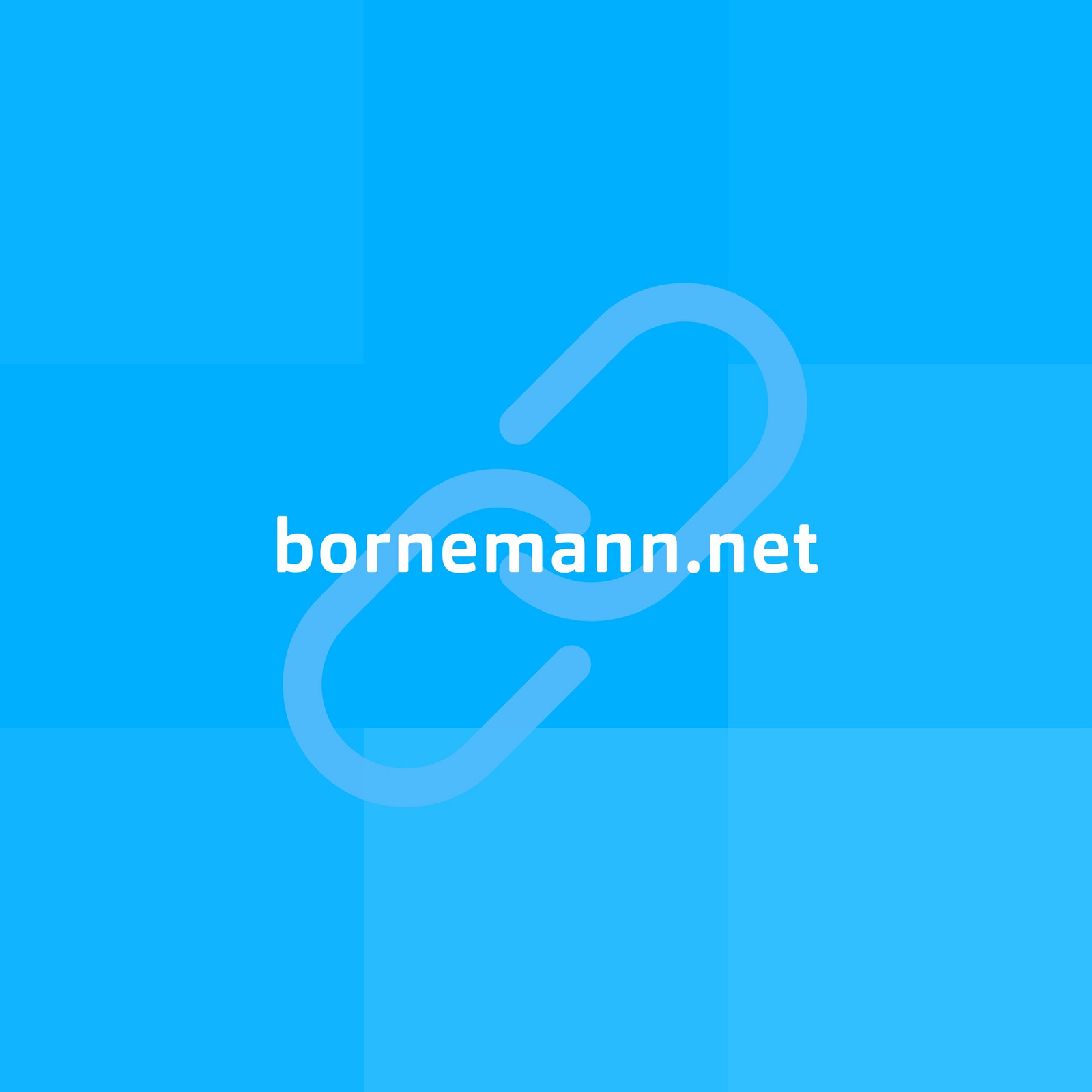 hochzwei_bornemann_ag_teaser12.jpg Weiße URL bornemann.net vor blauem Hintergrund