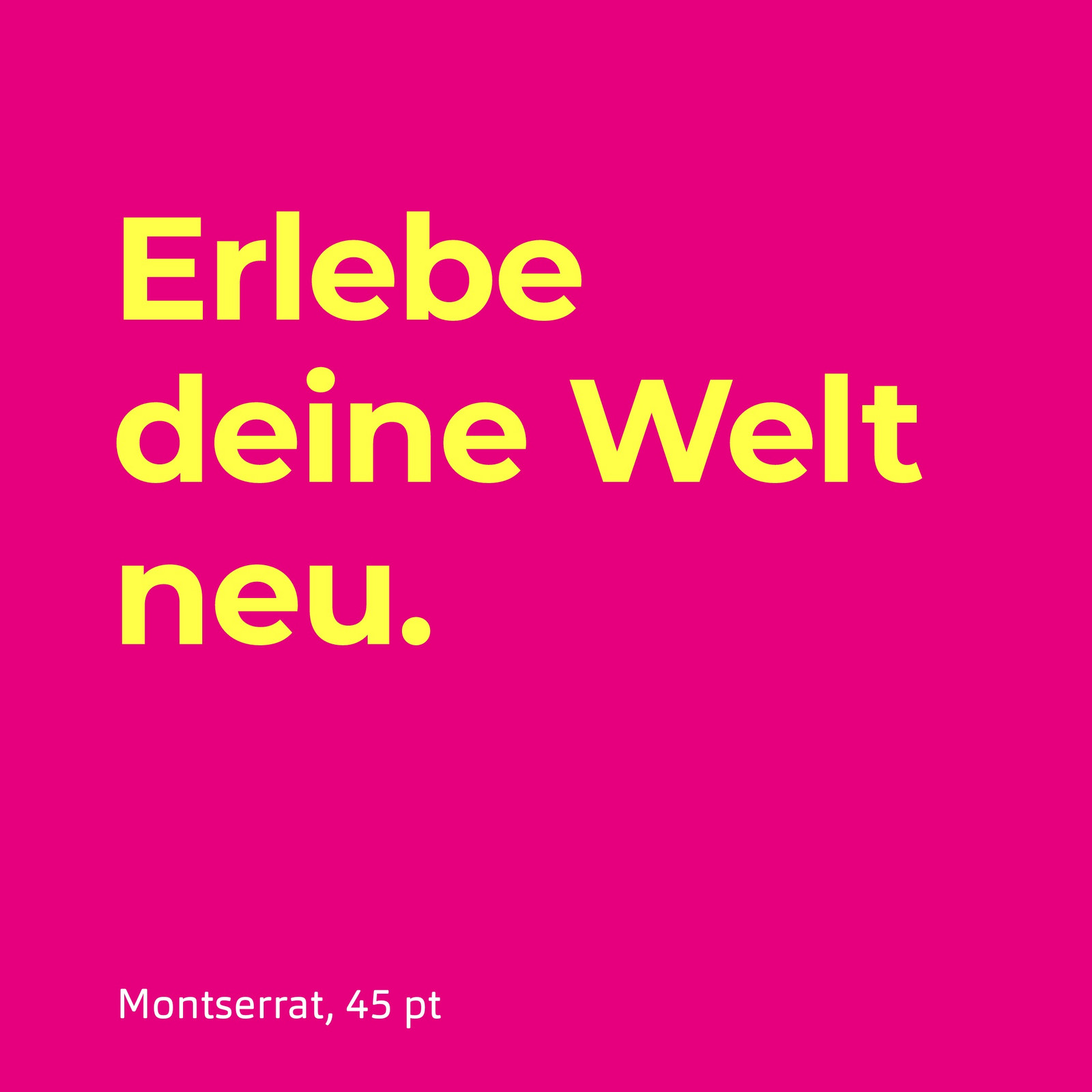 h2_phaenomenta_teaser_04.jpg Eine pinke Kachel mit einer gelben Schrift